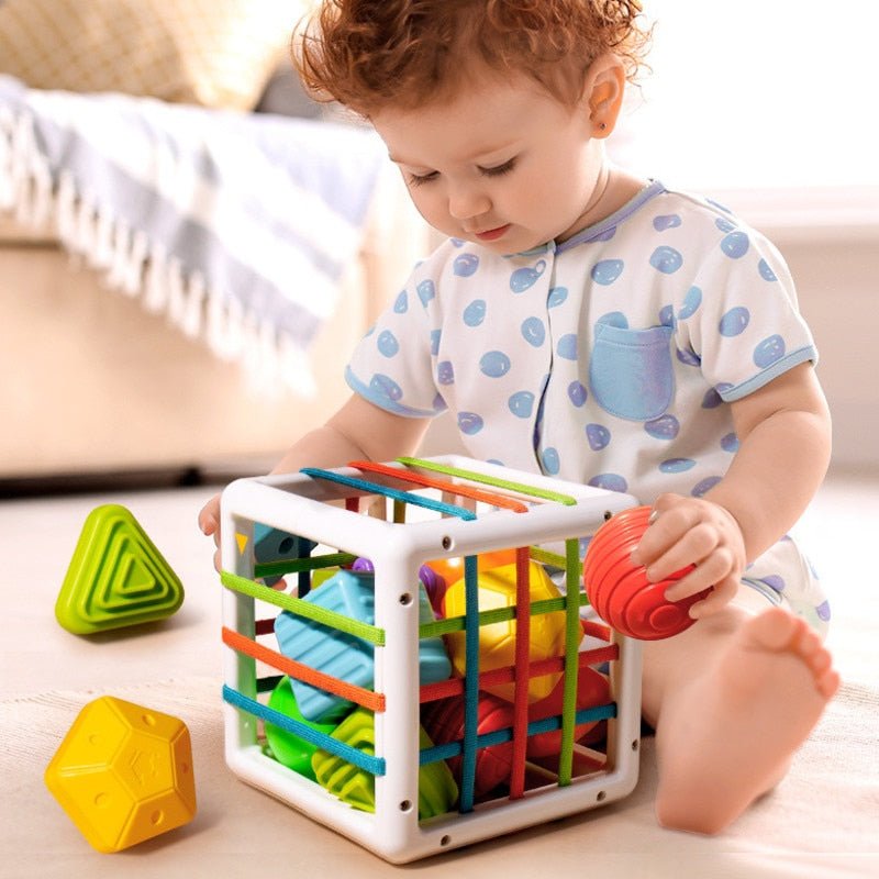 Brinquedo Montessoriano Educativo - Teleco Store