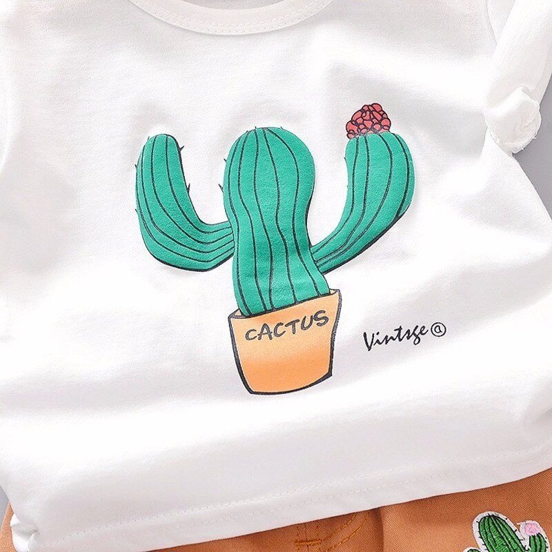 Conjunto Cactus